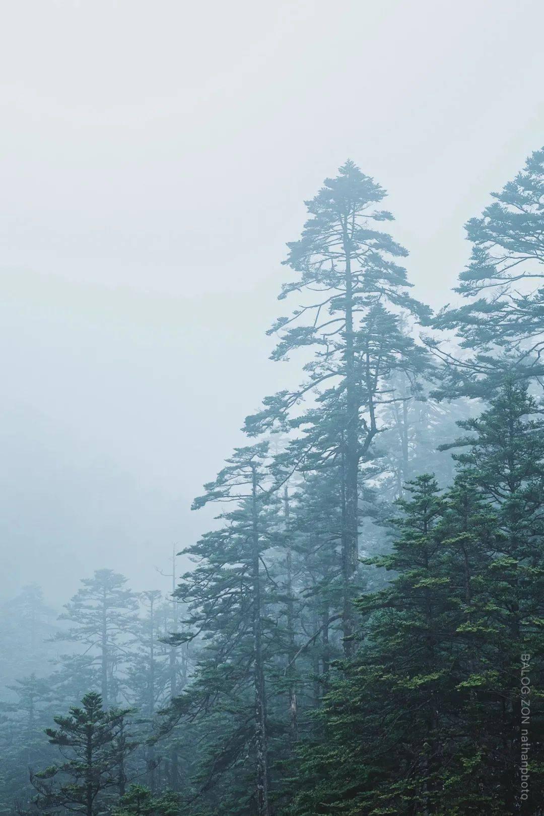 棒球训练赛